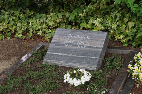 Bad Godesberg